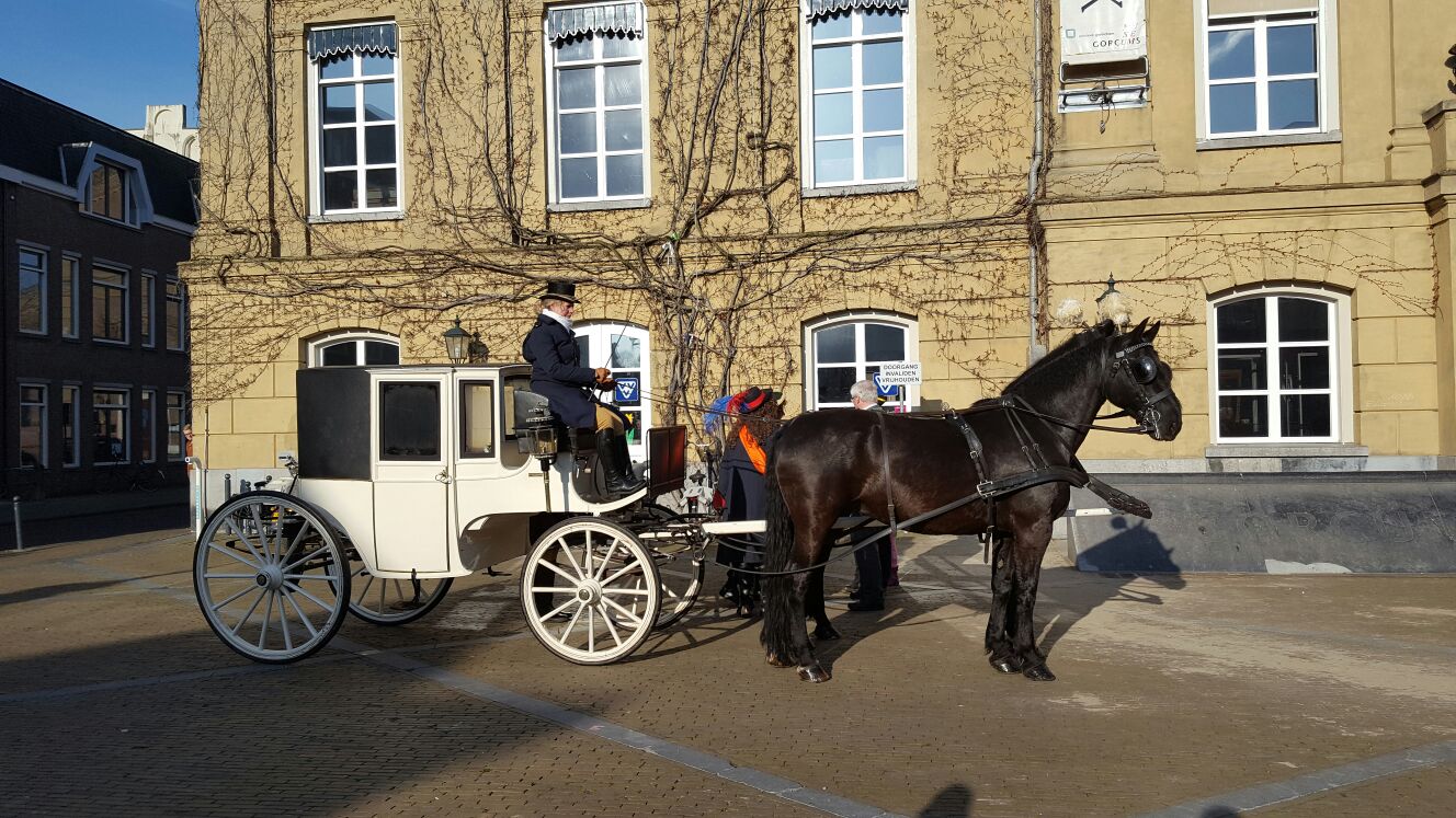Zwarte rouwkoets met twee zwarte paarden op een laan met bomen